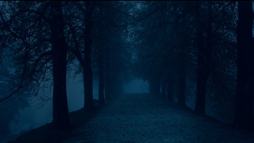 FILM - Book of the Old Ways